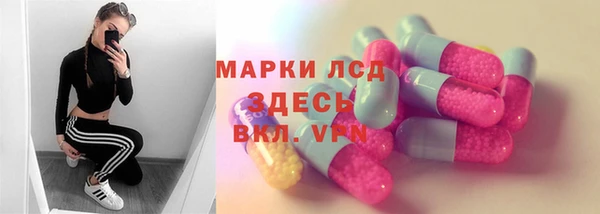 ешки Новодвинск
