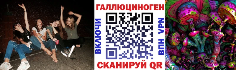 Купить где Игра Галлюциногенные грибы Psilocybe